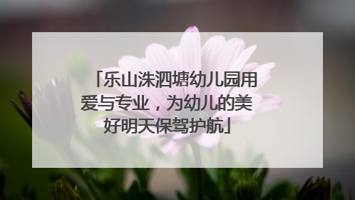 乐山洙泗塘幼儿园用爱与专业，为幼儿的美好明天保驾护航