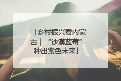 乡村振兴看内蒙古｜“沙漠蓝莓”种出紫色未来