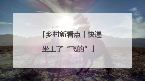 乡村新看点丨快递坐上了“飞的”