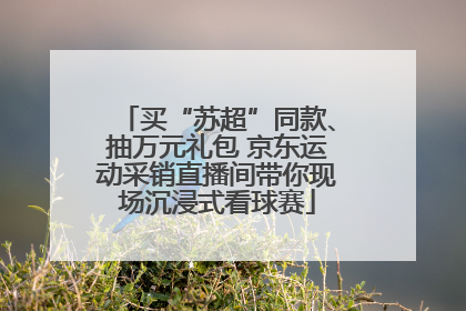 买“苏超”同款、抽万元礼包 京东运动采销直播间带你现场沉浸式看球赛