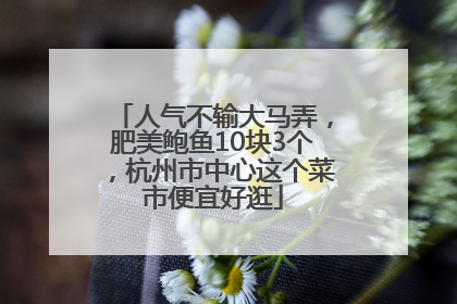 人气不输大马弄，肥美鲍鱼10块3个，杭州市中心这个菜市便宜好逛