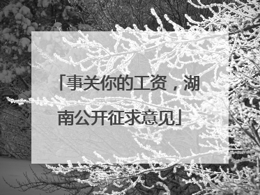 事关你的工资，湖南公开征求意见