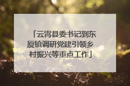 云霄县委书记到东厦镇调研党建引领乡村振兴等重点工作