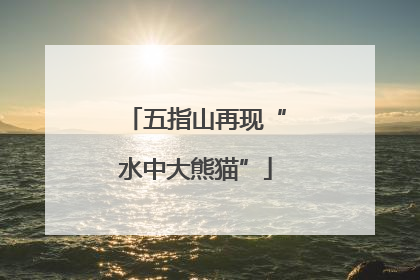 五指山再现“水中大熊猫”
