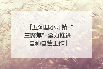 五河县小圩镇“三聚焦”全力推进夏种夏管工作
