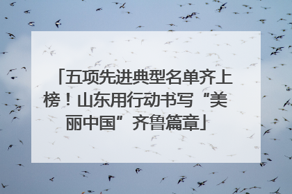 五项先进典型名单齐上榜！山东用行动书写“美丽中国”齐鲁篇章