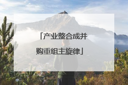 产业整合成并购重组主旋律