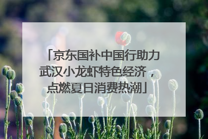 京东国补中国行助力武汉小龙虾特色经济，点燃夏日消费热潮