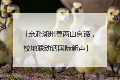 亲赴湖州寻两山真谛，校地联动话国际新声