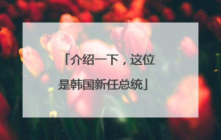介绍一下，这位是韩国新任总统