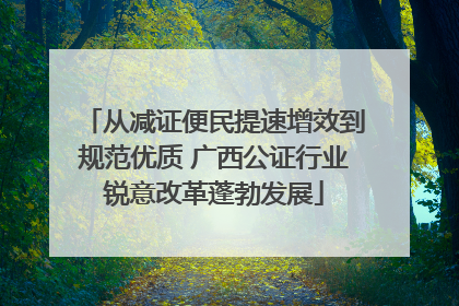 从减证便民提速增效到规范优质 广西公证行业锐意改革蓬勃发展