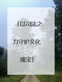 以司法之力守护文化瑰宝