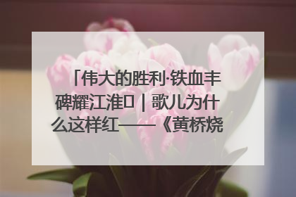 伟大的胜利·铁血丰碑耀江淮⑫｜歌儿为什么这样红——《黄桥烧饼歌》诞生记