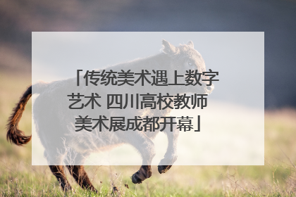 传统美术遇上数字艺术 四川高校教师美术展成都开幕