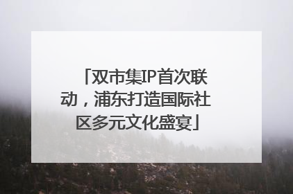 双市集IP首次联动，浦东打造国际社区多元文化盛宴