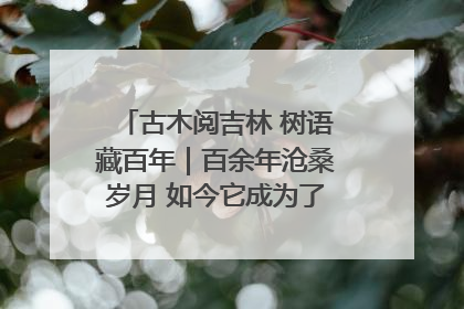 古木阅吉林 树语藏百年｜百余年沧桑岁月 如今它成为了“镇园之宝”