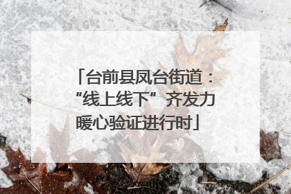 台前县凤台街道：“线上线下”齐发力 暖心验证进行时