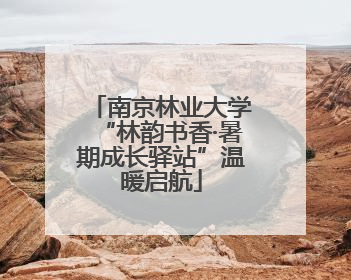 南京林业大学“林韵书香·暑期成长驿站”温暖启航