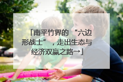 南平竹界的 “六边形战士”，走出生态与经济双赢之路→