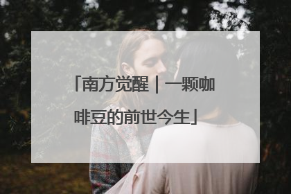南方觉醒｜一颗咖啡豆的前世今生