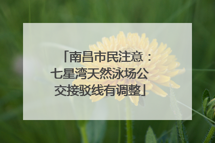 南昌市民注意：七星湾天然泳场公交接驳线有调整