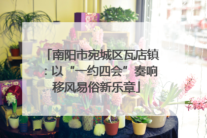 南阳市宛城区瓦店镇：以“一约四会”奏响移风易俗新乐章