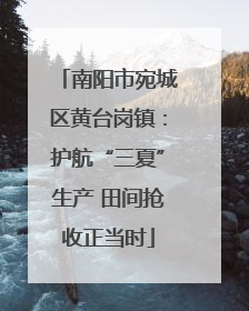南阳市宛城区黄台岗镇：护航“三夏”生产 田间抢收正当时