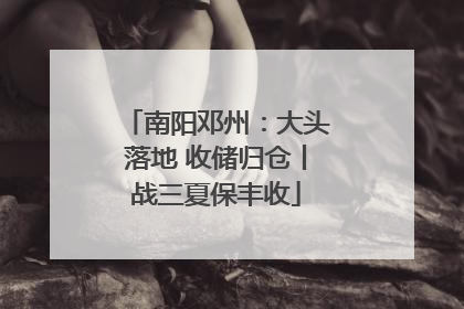 南阳邓州：大头落地 收储归仓丨战三夏保丰收