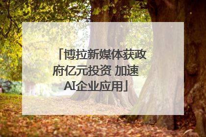 博拉新媒体获政府亿元投资 加速AI企业应用