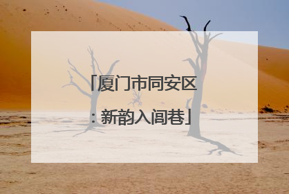 厦门市同安区：新韵入闾巷