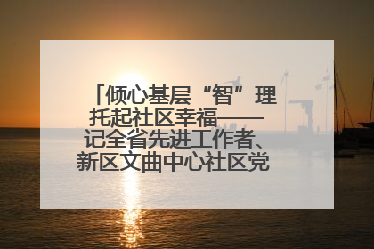 倾心基层“智”理 托起社区幸福——记全省先进工作者、新区文曲中心社区党委书记董世弘