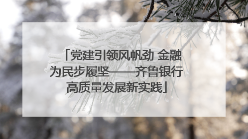 党建引领风帆劲 金融为民步履坚——齐鲁银行高质量发展新实践