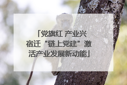 党旗红 产业兴 宿迁“链上党建”激活产业发展新动能