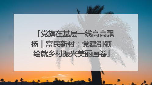 党旗在基层一线高高飘扬｜富民新村：党建引领绘就乡村振兴美丽画卷