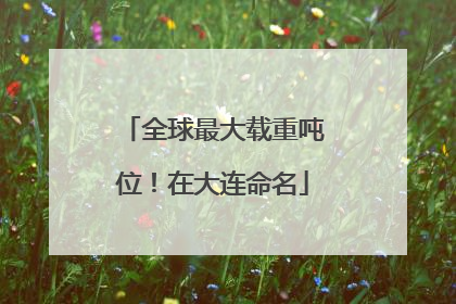 全球最大载重吨位！在大连命名
