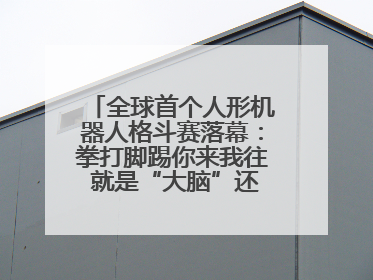 全球首个人形机器人格斗赛落幕：拳打脚踢你来我往 就是“大脑”还不好使
