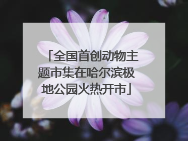 全国首创动物主题市集在哈尔滨极地公园火热开市