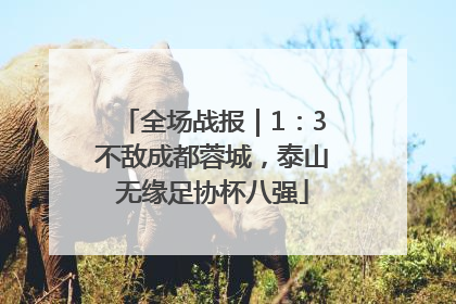 全场战报｜1：3不敌成都蓉城，泰山无缘足协杯八强