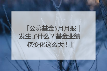 公募基金5月月报｜发生了什么？基金业绩榜变化这么大！