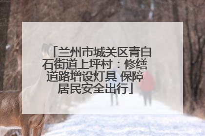 兰州市城关区青白石街道上坪村：修缮道路增设灯具 保障居民安全出行