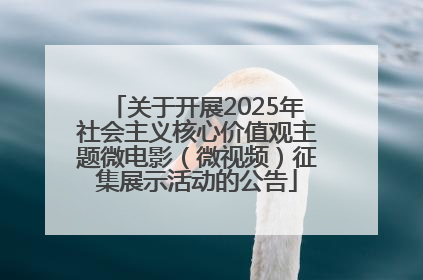 关于开展2025年社会主义核心价值观主题微电影（微视频）征集展示活动的公告