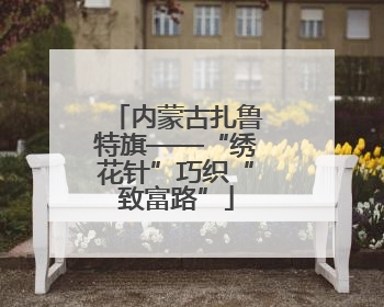 内蒙古扎鲁特旗——“绣花针”巧织“致富路”