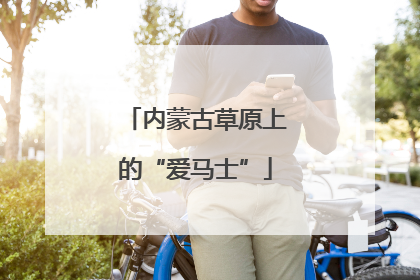 内蒙古草原上的“爱马士”