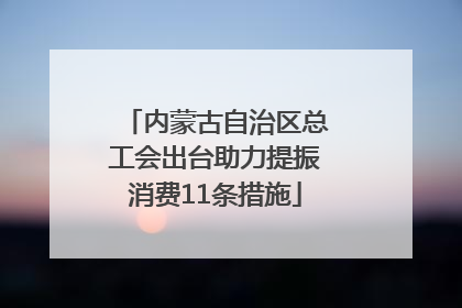 内蒙古自治区总工会出台助力提振消费11条措施