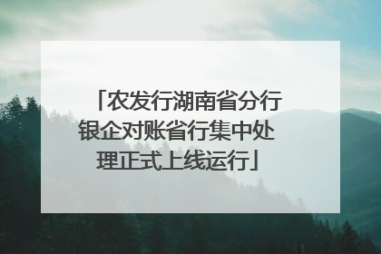 农发行湖南省分行银企对账省行集中处理正式上线运行