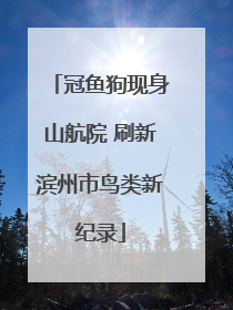冠鱼狗现身山航院 刷新滨州市鸟类新纪录