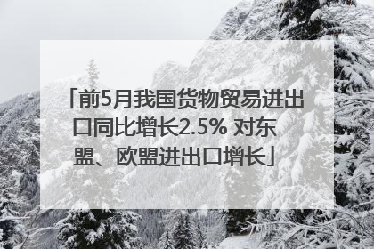 前5月我国货物贸易进出口同比增长2.5% 对东盟、欧盟进出口增长