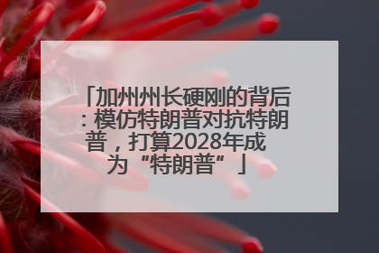 加州州长硬刚的背后：模仿特朗普对抗特朗普，打算2028年成为“特朗普”
