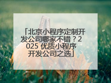 北京小程序定制开发公司哪家不错？2025 优质小程序开发公司之选