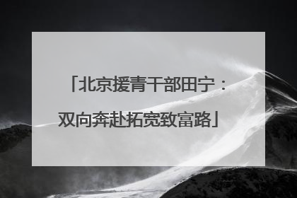 北京援青干部田宁：双向奔赴拓宽致富路